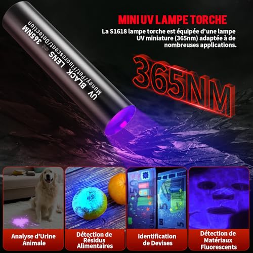 51imVW8JF5L._SL500_